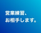 営業練習1000本ノック！お相手します 実践、上司、同僚に代わって貴方の提案練習お付き合いします イメージ1