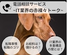 IT業界についてなんでも答えます 「IT業界に関する質問になんでも回答！」 イメージ1