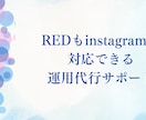 RED/Instagramの運用全般相談できます 投稿/動画編集/アカウント設計などなんでも相談しください イメージ1
