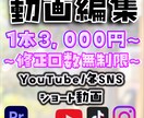 お好みオーダーメイドも丸投げも承ります あなたの動画投稿のお手伝いさせてください イメージ1