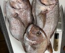 釣りを始めたい方に道具購入等のアドバイスをします YouTubeやネットだけじゃ理解出来ない方へ！ イメージ4