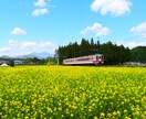 素敵な写真お届けします 必要な写真を可能な限りお送りします！ イメージ3