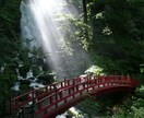 初回｜恋の悩み。あの人の本心と二人の関係を整えます 片耳の静寂で培った鋭い感性で、見えない本音を捉えます。 イメージ10