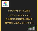 国士無双のバイナリーオプション術をお教えします 長年の研究と検証で完成！バイナリーオプションで専業になる方法 イメージ2