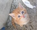お話し聞きます ちょっと話したい方、相談アドバイス、お気軽にお声掛けください イメージ1