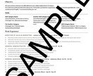 英語面接へ繋げる英文LinkedIn作成します カナダ人元派遣会社社長とネイティブ日本人が全力でサポート イメージ4