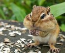 お悩み相談します 周りに話せないことでもなんでも聞きます。 イメージ1