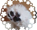 ペットロスやペットのお話し聞きます ペットは大事な家族ですからね♡ イメージ6