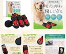 ECサイト用の商品画像を魅力的に制作します 迷わせない商品画像で購入判断を後押しします イメージ8