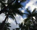 あなたのハワイ旅行をより良いものにします せっかくの旅行、充実した時間を過ごしたい方へ イメージ2