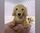 羊毛フェルトでペットちゃんのお人形を作ります 【手乗りサイズ】画像巻末・見本動画もぜひ！ご覧下さい イメージ6