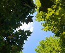 明るく楽しく、前向きになる為にお話をさせて頂きます 不安や心配、悩みを聞いてほしい方の窓口です。 イメージ1