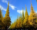 国家資格キャリアコンサルタント面接対策します 2回目で（74点で合格！16点UP）合格。その秘訣をお伝え！ イメージ1