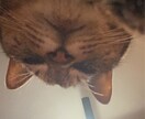 あなたのことを少しみてみます みーたまこの感性を通して視る、あなたとは♪ イメージ1