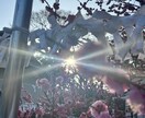 あなたの心のモヤモヤを晴らします 今辛くて苦しんでいるあなたの力になりたい イメージ1