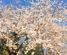 愚痴や悩みを聞きます！あなたの心を軽くします 愚痴や悩みを誰にも言えない方LINE感覚でお気軽に聞きます！ イメージ1
