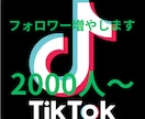 TikTokフォロワー増やします 値下げしました！フォロワー増加確実です！！ イメージ8
