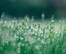 誰かにこの気持ちを話したいそこのあなた！話聞きます 悩みはもちろん、好きな話何でもお聞きします！ イメージ3