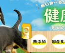 クオリティの高い広告バナーを格安で制作致します 格安で質の高いバナーを制作致します。 イメージ2