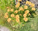雑談だけでもOKお話聞きます 愚痴や悩みお話してみませんか？雑談だけでも大丈夫です⠒̫⃝ イメージ1