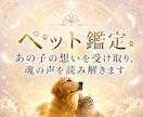 天啓神眼にて大切なあの子の心を深く丁寧に視抜きます 大切な我が子の真心と魂の願いを受け取る神域天啓の真髄本格鑑定 イメージ1