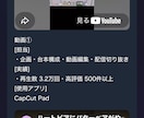 配信者向けポートフォリオサイトを制作します SNS・実績・動画を1つのサイトにまとめます！ イメージ4
