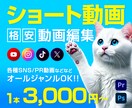 各種SNSなどのショート動画編集承ります 様々なジャンルに対応！サムネイルもご相談ください。 イメージ1