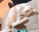 子育て、ADHDについて相談乗ります 自分の子はほかのと違う、悩んでるあなたへ イメージ1