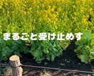 気分変調性障害当事者が丁寧に寄り添います 症状/うつ病との違い/双極性障害との違い/悩み/不安 イメージ4