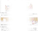 インプラント説明書兼同意書を提供いたします 歯科医院の事務仕事、丸投げ先はこちらです。 イメージ3