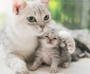 少しでも話したい。あなたのお話何でも聞きます あなたのお悩みを聞いて見えないストレスから解放させます。 イメージ2