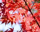 心の核心を霊視で読み取ります 霊視で本質を捉え、必要な気づきをお伝えします イメージ2
