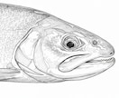 魚以外もいけます 「遊びじゃない。自然との勝負だ。」 イメージ2
