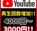 YouTubeの再生回数4000回増やします 見栄えを良くしたい方におすすめ！ イメージ6