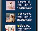 ペット関連店開業に最適なお手軽ページを作成します 小規模店舗向け！必要最低限ページ構成で素敵に仕上げます♪ イメージ7