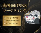 海外向けのSNS広告運用代行させていただきます 海外向けに販売したい方にオススメ イメージ1