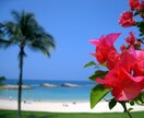 ハワイで会社を設立する方法を教えます 海外と取引を始めたい人、ハワイに会社を持ちたい人 イメージ1