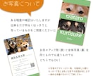 うちの子「目力名刺」作ります 可愛い我が子のお目々名刺でインパクト大！！ イメージ3