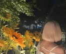 ゆるっとキャリア相談☆あなたのその不安、聞きます さくっと15分でちょっと明るく‎✿国家資格勉強中22歳☺︎ イメージ2