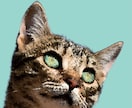 肖像画風画像作成ます 大切なペット猫ちゃんの写真を飾りたい人へ イメージ3