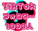 TikTokのフォロワー1000人〜増やします TikTok 拡散 フォロワー ＋1000人〜 イメージ1
