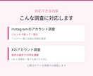 SNSの競合アカウントを調査して一覧化します Instagram・Xのアカウントを調べてシートにまとめます イメージ3