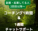 個人で働いてる人！人との関係コーチングします 出品者さん、起業、副業、継続コーチング、強み、才能、目標 イメージ2