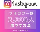 2ヶ月でインスタフォロワー3千人にする方法教えます 〜実績のあるノウハウをご提供〜 イメージ1