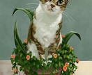 写真から愛猫・愛犬などリアルなイラスト描きます プレゼント、待ち受け、グッズ、など イメージ4