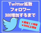 Twitterフォロワー３００人以上まで拡散します 【１０日間保証】１０００人は３０００円！！ イメージ1