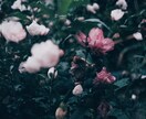 愚痴等の話し相手！あなたの気持ちに寄り添います ゲイ相手だから溜まったストレスや悩みを吐き出しましょう！ イメージ1