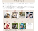 ガーベラペット似顔絵｜額縁可｜お急ぎ可でございます 猫・犬・うさぎ等リアルで華やかなペットイラスト｜ラッピング可 イメージ9