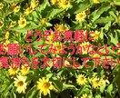 あなたの長所、強み、自己肯定を易占で性格診断します ☯成長を妨げる問題内部事情を透視☯自分探し、就職活動に最適☯ イメージ8