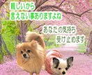 気楽にチャットで話しませんか？なんでも聞きます 悩んだり、愚痴りたくなったり…頑張ってるあなたに寄り添います イメージ8